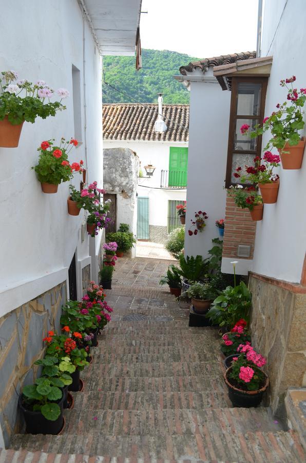 Casa La Puente Villa Jubrique Eksteriør bilde