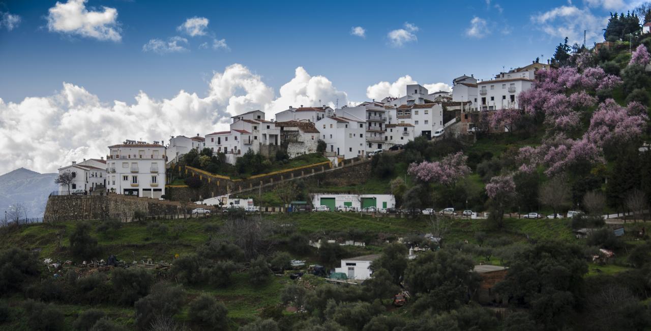 Casa La Puente Villa Jubrique Eksteriør bilde